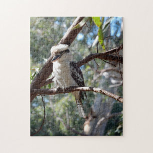 Kookaburra Foto-Puzzle