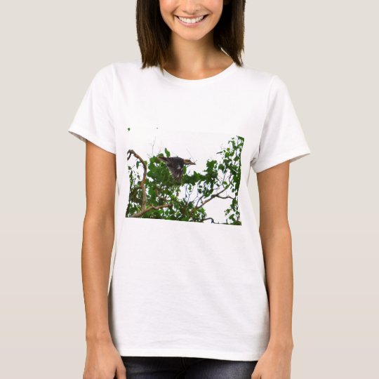 KOOKABURRA IM FLUG QUEENSLAND AUSTRALIEN T-Shirt
