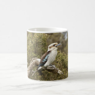 Kookaburra Kaffeetasse
