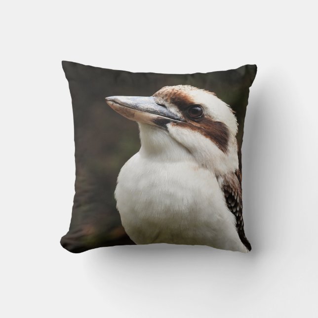 Kookaburra Kissen (Vorderseite)