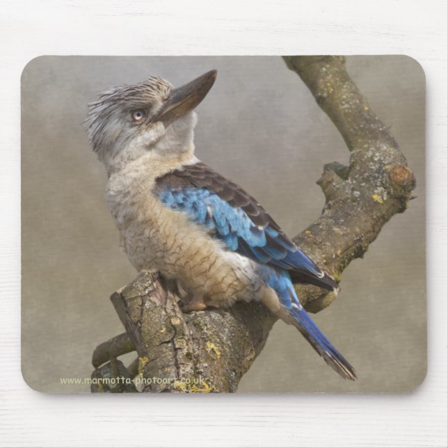 Kookaburra-Mauspad Mousepad (Vorne)