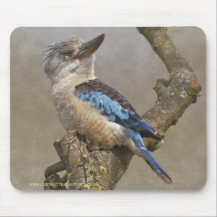 Kookaburra Mousemat Mousepad
