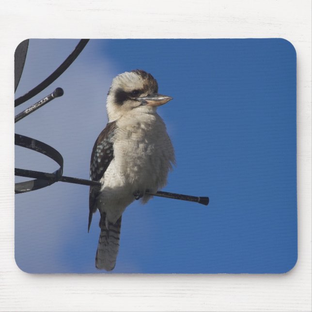 Kookaburra Mousepad (Vorne)