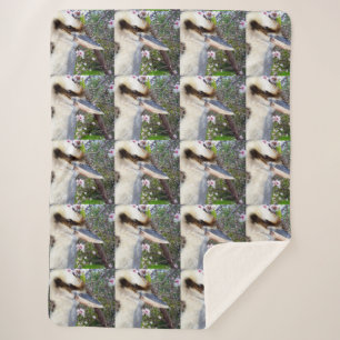 Kookaburra neben einem Blütenbaum, Sherpadecke