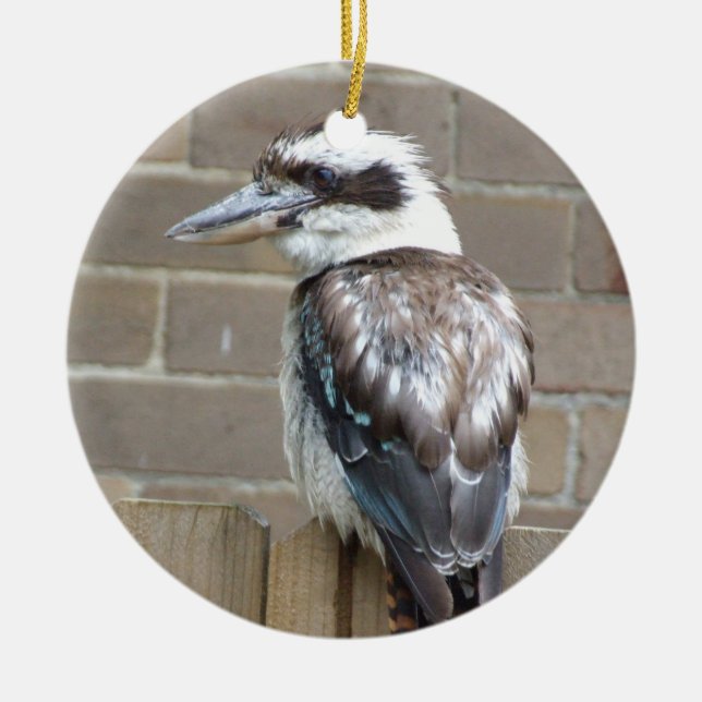 Kookaburra Ornament (Vorne)