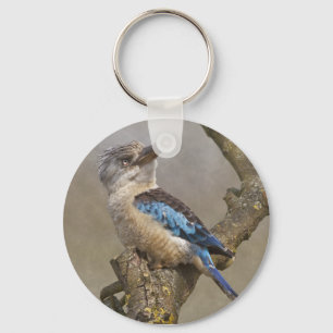 Kookaburra Schlüsselring Schlüsselanhänger