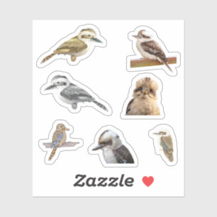 Kookaburra Stickers Aufkleber