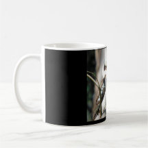Kookaburra-Tasse