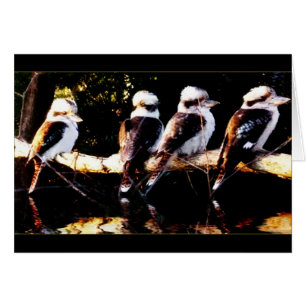 Kookaburra-Vogelchor-Karte