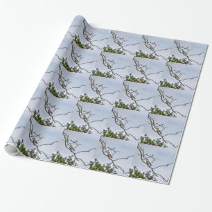 KOOKABURRA & WILLIE WAGTAIL QUEENSLAND AUSTRALIEN GESCHENKPAPIER