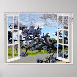 Kookaburras In Meinem Fenster,   Poster