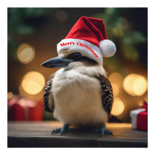 "Kookaburras' Weihnachtsfreude" Fotodruck