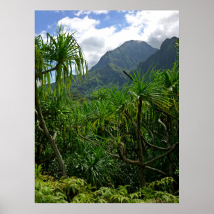 Koolau Berge Poster
