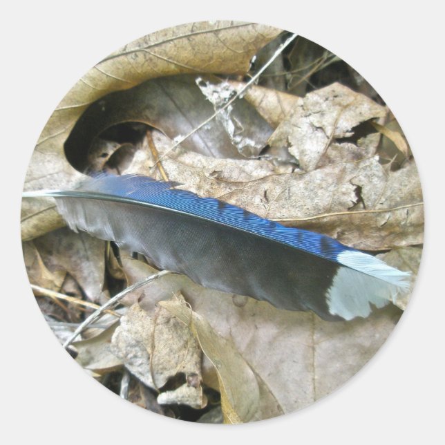 Koordinationselemente für blaue Jay-Feder Runder Aufkleber (Vorderseite)