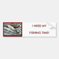 Koordinationselemente für die AJS Saltwater Lure P