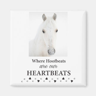 Kootenai-Magnet Magnet