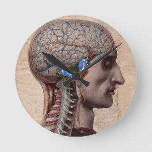 Kopf Anatomie Uhr