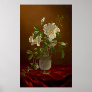 Kopf - Cherokee-Rose in einer Glasvase Poster