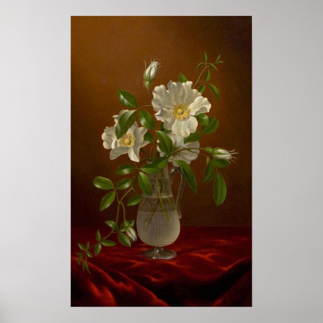 Kopf - Cherokee-Rose in einer Glasvase Poster (Vorne)