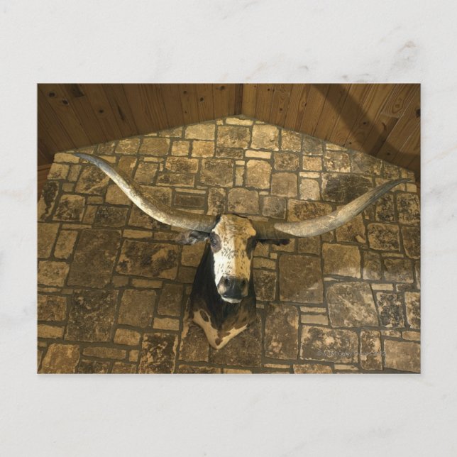 Kopf der an der Wand befestigten Ruderstange Postkarte (Vorderseite)
