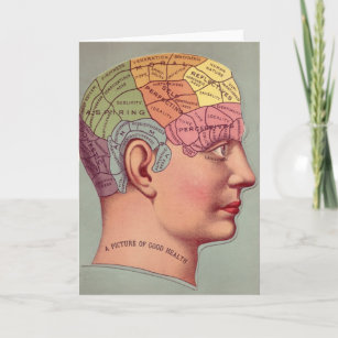 Kopf der antiken Gehirnkarte Phrenologie Karte