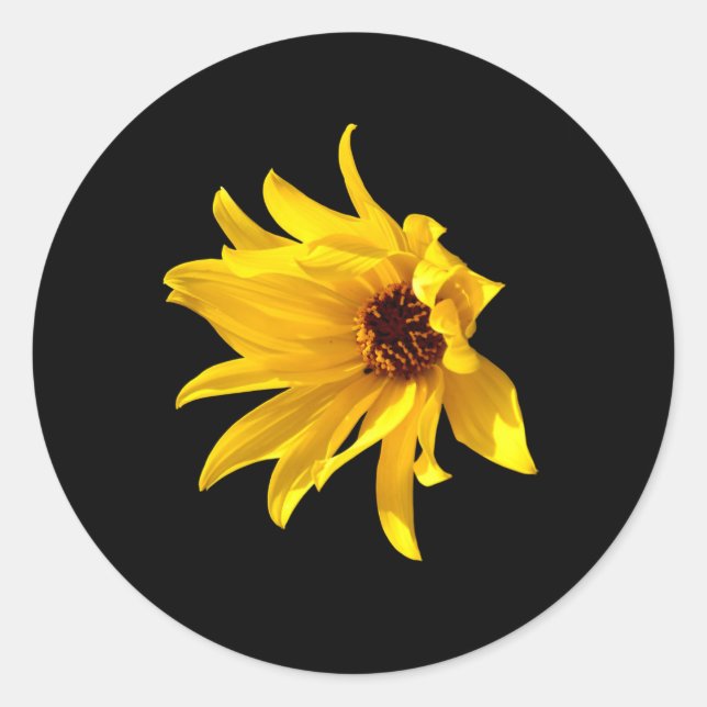 Kopf der gelben daisy Helenium Stickers (Vorderseite)