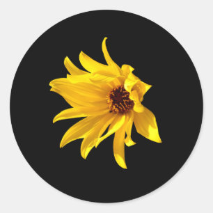 Kopf der gelben daisy Helenium Stickers