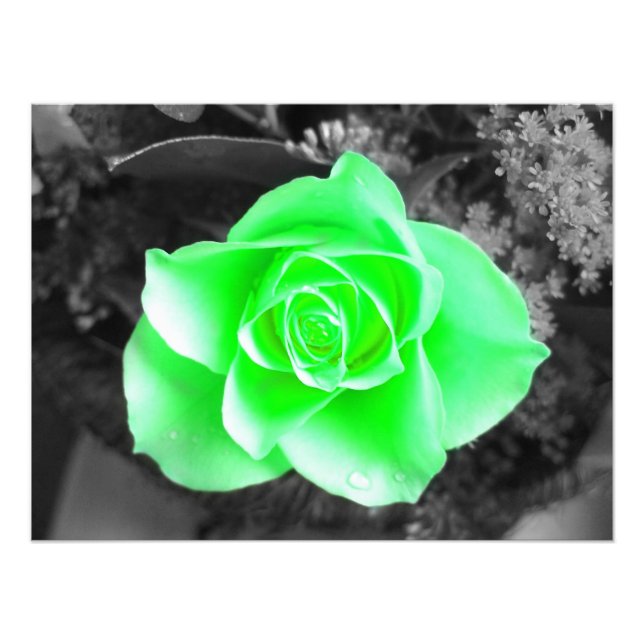 Kopf der grünen Blume mit dunklem Hintergrund (2) Fotodruck (Vorne)