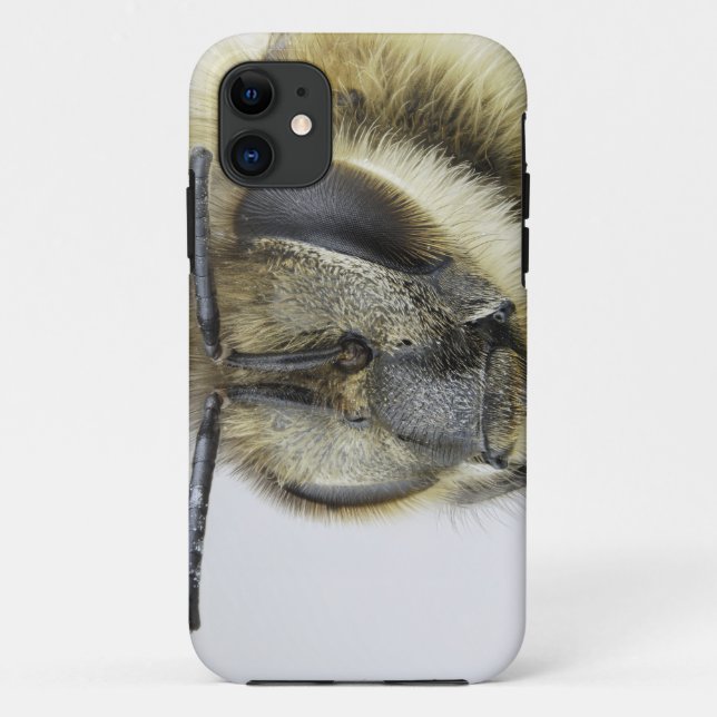 Kopf der Honigbiene Case-Mate iPhone Hülle (Rückseite)