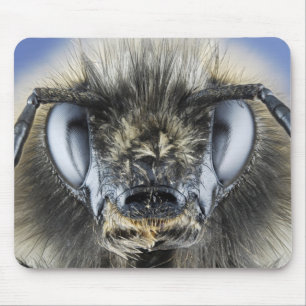 Kopf der Hummel Mousepad