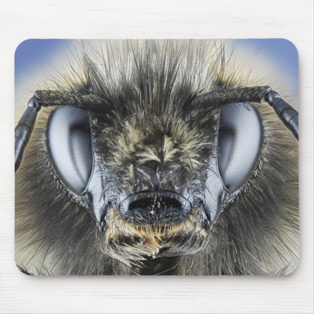 Kopf der Hummel Mousepad (Vorne)