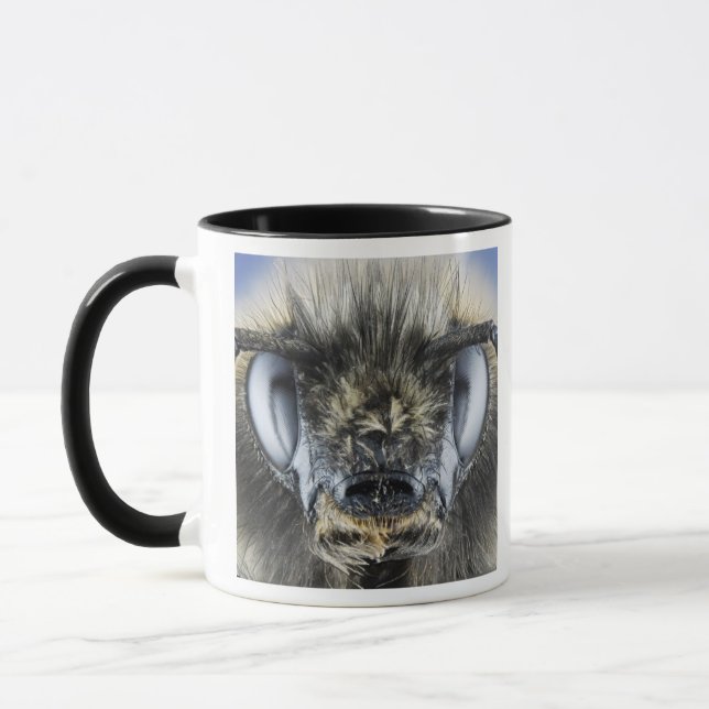 Kopf der Hummel Tasse (Links)