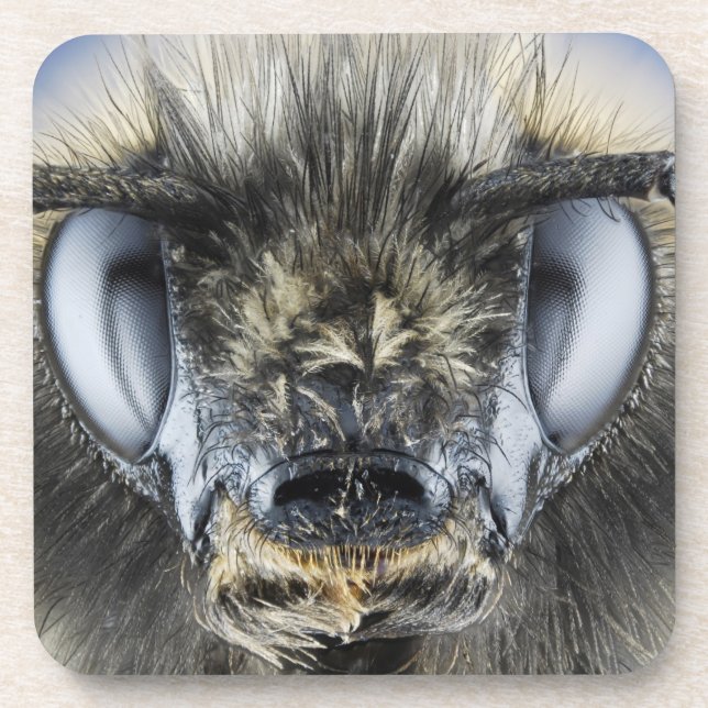 Kopf der Hummel Untersetzer (Vorderseite)