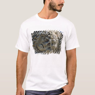 Kopf der Medusa T-Shirt