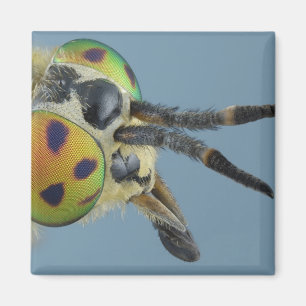 Kopf der Rotwild fliegen Magnet