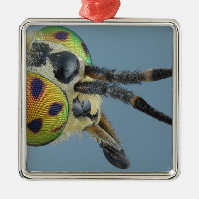 Kopf der Rotwild fliegen Silbernes Ornament (Vorne)