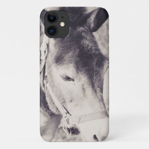 Kopf des Donkey 2001 Case-Mate iPhone Hülle