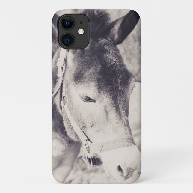 Kopf des Donkey 2001 Case-Mate iPhone Hülle (Rückseite)