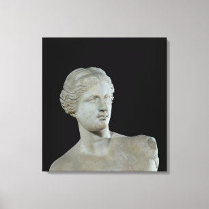 Kopf des Venus von Milos, c.100 BC Leinwanddruck