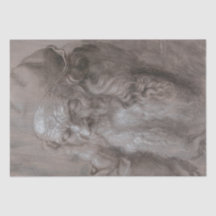 Kopf eines alten Mannes durch Albrecht Durer