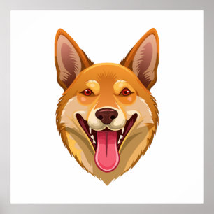 Kopf eines australischen Wildhundes Dingo Poster