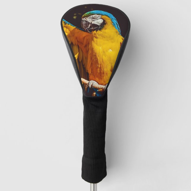 Kopf eines blauen und gelben Macas Golf Headcover (Vorderseite)