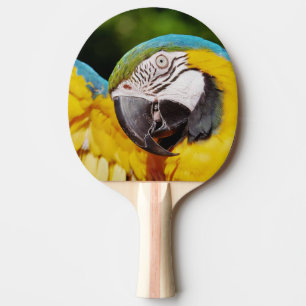 Kopf eines blauen und gelben Macas Tischtennis Schläger