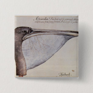 Kopf eines Brown-Pelikans Button