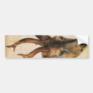 Kopf eines Hirsches (Wildtier) (von Albrecht Dürer Autoaufkleber