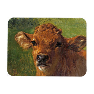 Kopf eines Kalbes (von Rosa Bonheur) Magnet