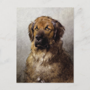 Kopf eines Leonberger-Hundgemäldes Postkarte