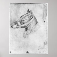 Kopf eines muzzled Hundes