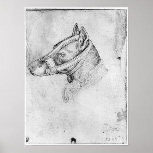 Kopf eines muzzled Hundes Poster