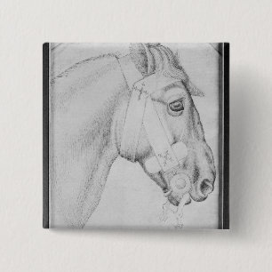 Kopf eines Pferds, vom Vallardi Album Button